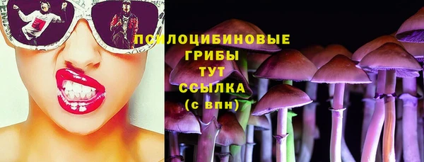 apvp Покровск