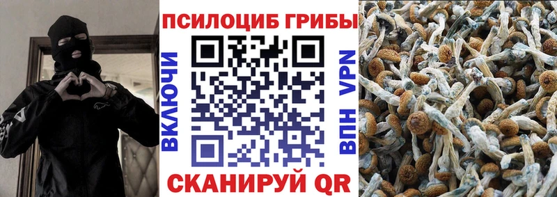 Псилоцибиновые грибы мицелий Свободный
