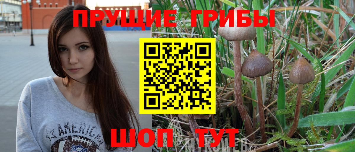 Галлюциногенные грибы Cubensis  Галлюциногенные грибы Cubensis  Свободный  Вход с VPN 